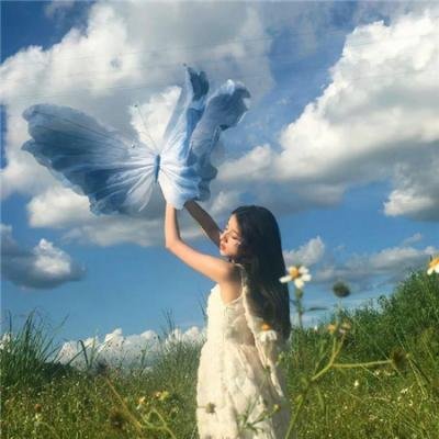 和状元郎和离后我权倾天下